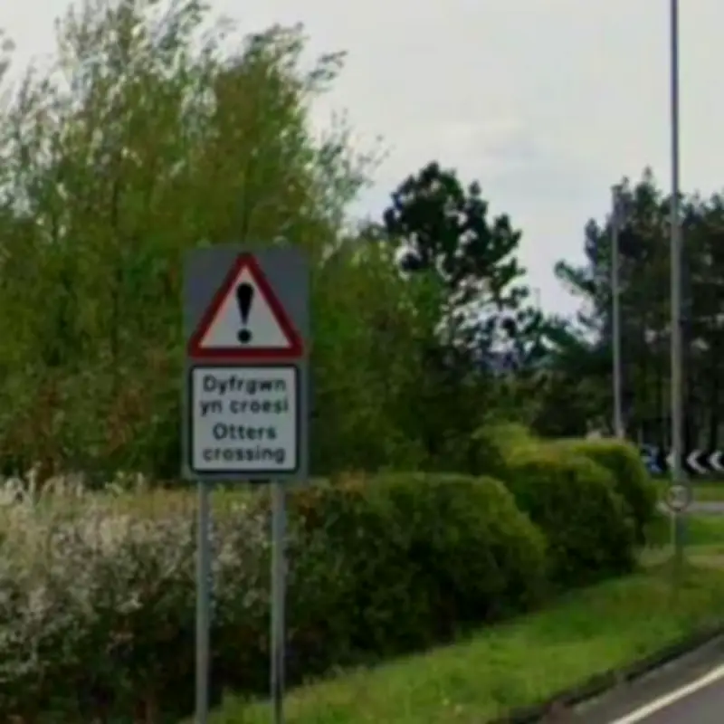 Carmarthenshire bus crash: 26 injured, major incident declared