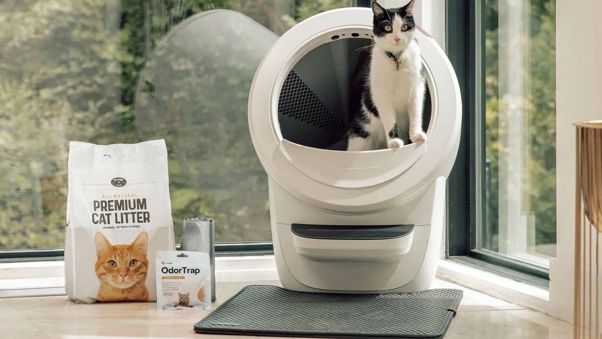 Cat Owners Save £80 on 'Life-Changing' Litter Robot 4