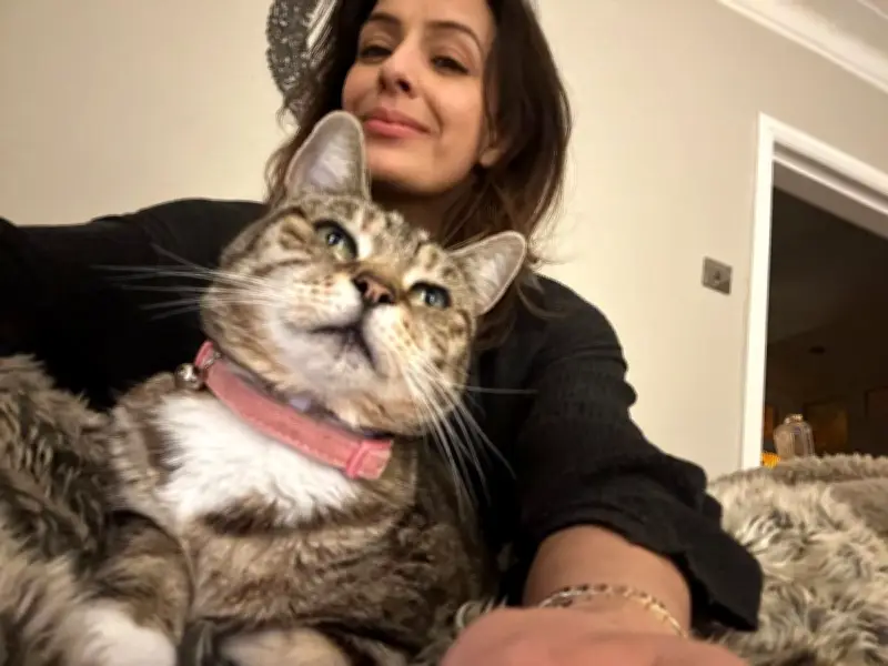 Cat Stolen on Ring Doorbell Found Dead Three Days Later in Bury