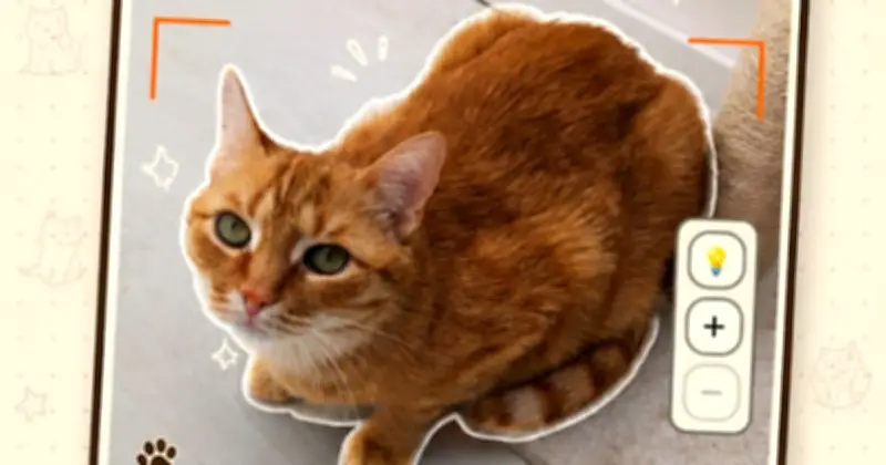 CatchCat Returns to Google Play After Viral Surge Overwhelms Servers