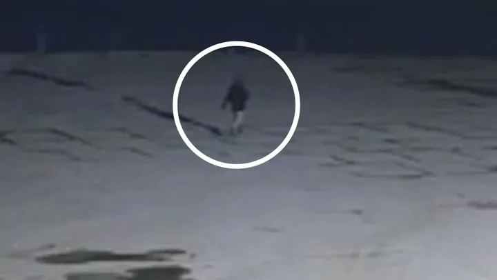 CCTV Shows Last Movements of Missing Essex Academic Vitoria Barreto