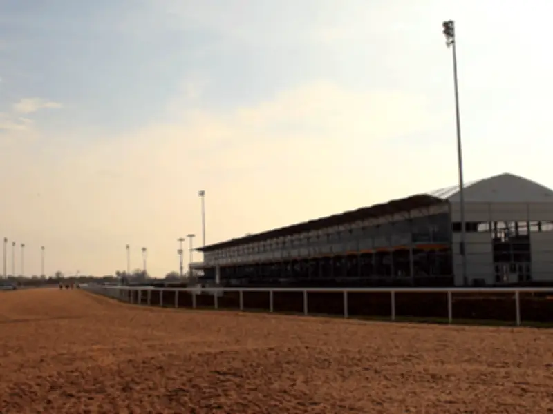Chelmsford City Racecourse Remains Closed After Licence Appeal Dismissed