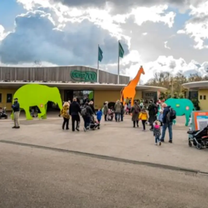 Chester Zoo Launches £10 Afternoon Tickets for Summer 2026