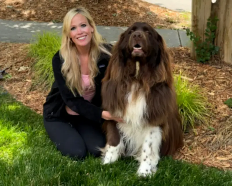 Chewy the Newfoundland: Gardening Helper and Water Rescuer