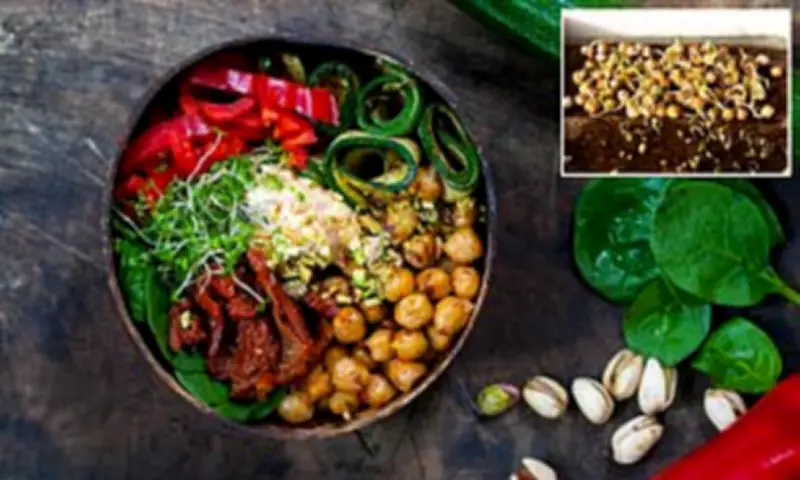 Chickpeas: The Superfood That Boosts Health and Saves Money