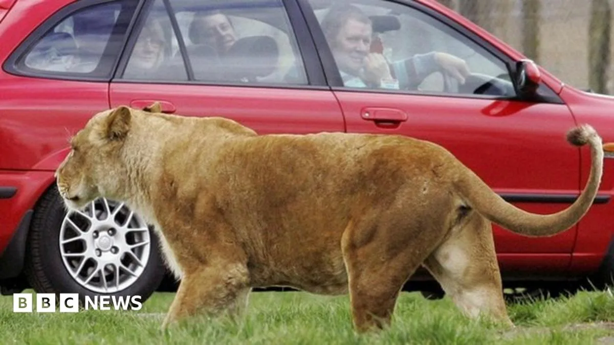 Boy, 5, Left at Safari Park After School Trip