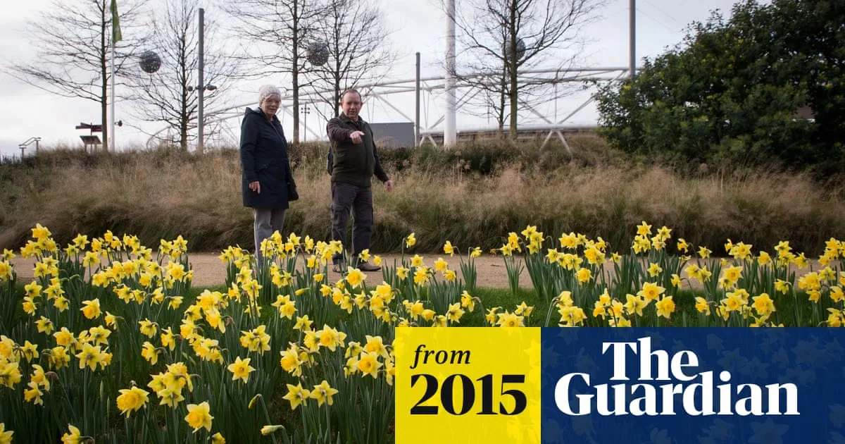 Daffodils Bloom Across UK During Unseasonably Mild December