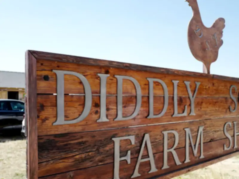 Clarkson's Farm Diddly Squat Location: How to Get There Explained