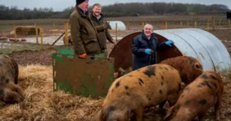 Clarkson's Farm Vet Dilwyn Evans Shares What Jeremy Clarkson Is Really Like