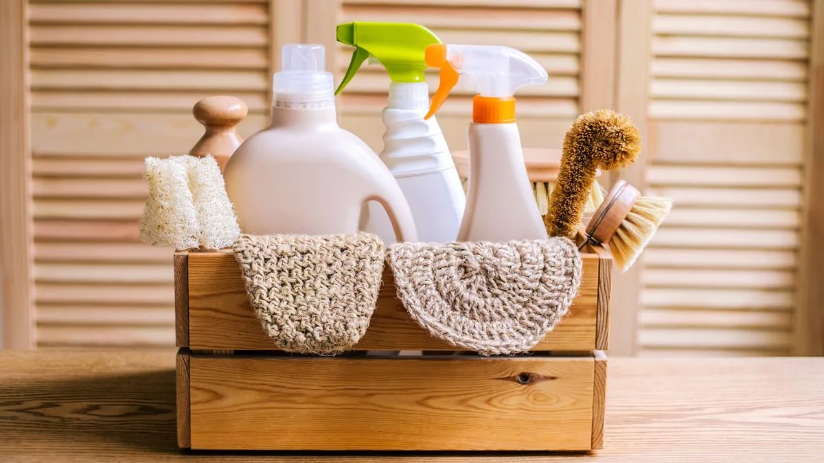 UK Households Urged to Clean Three Kitchen Appliances This Week