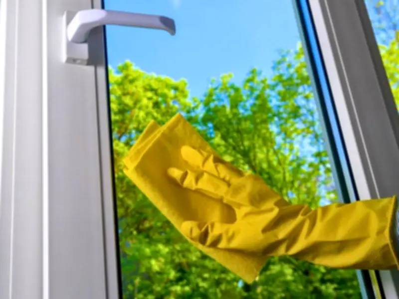 Clean Windows Streak-Free Using Only a Cup of Tea This Summer
