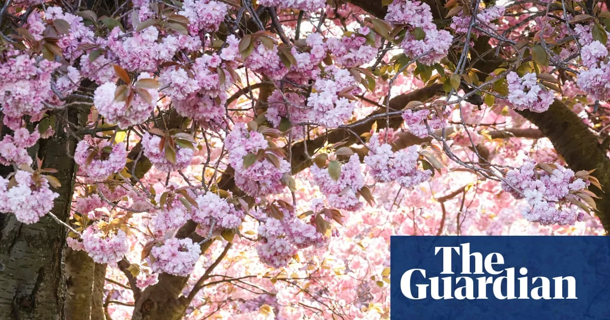 Climate Change Lengthens Pollen Season in UK and Europe