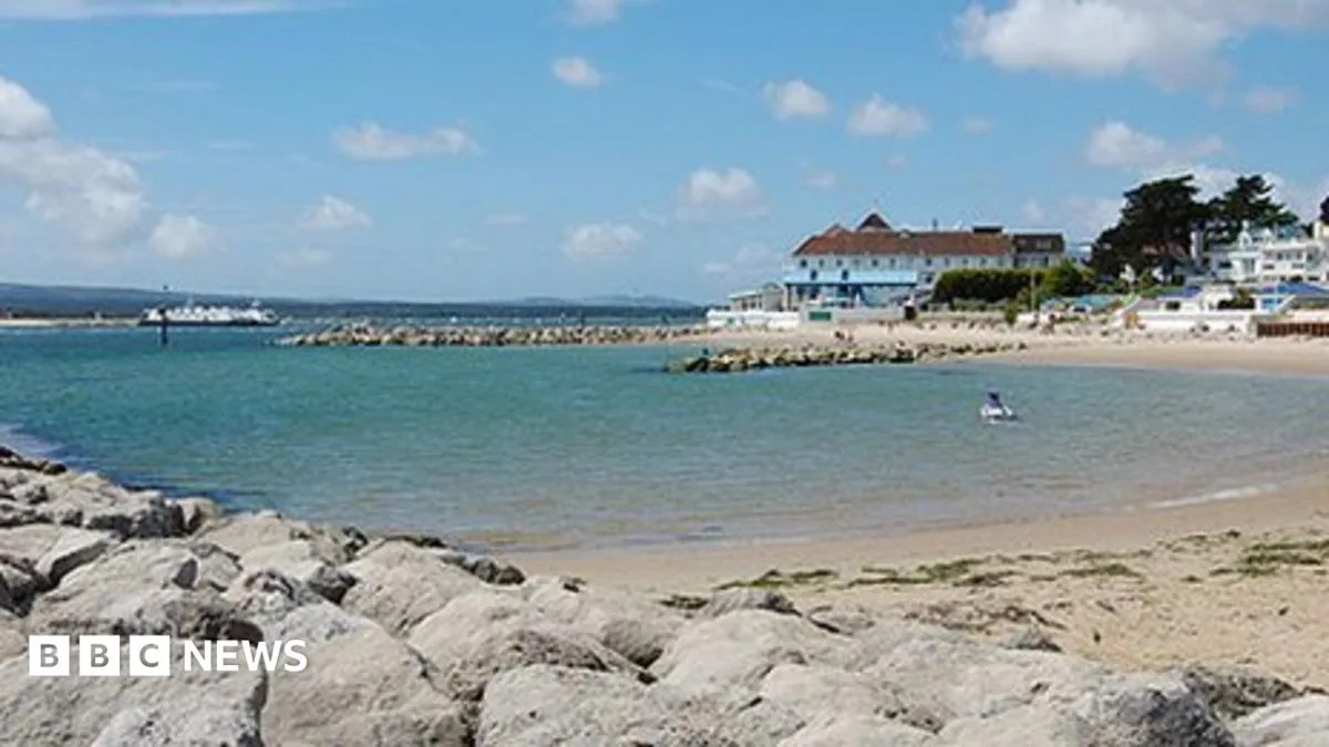 Developers Guilty of Damaging Trees Blocking Luxury Homes in Sandbanks