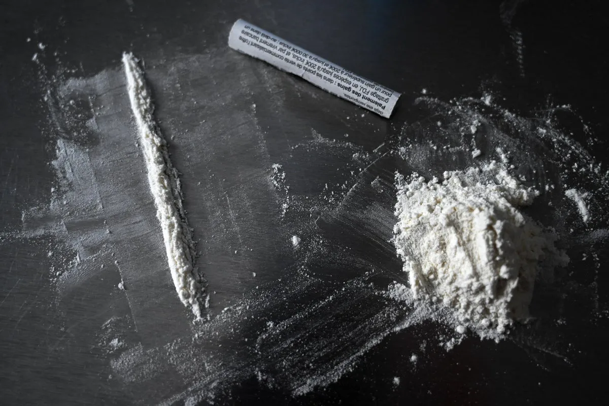 Cocaine Pollution Alters Wild Salmon Migration, Study Finds