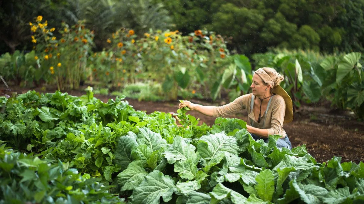 Common Kitchen Scrap Harming UK Gardens