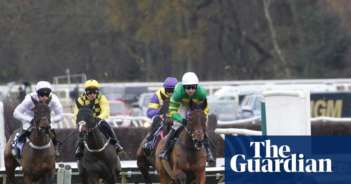 Constitution Hill Falls Again as Golden Ace Wins Fighting Fifth Hurdle