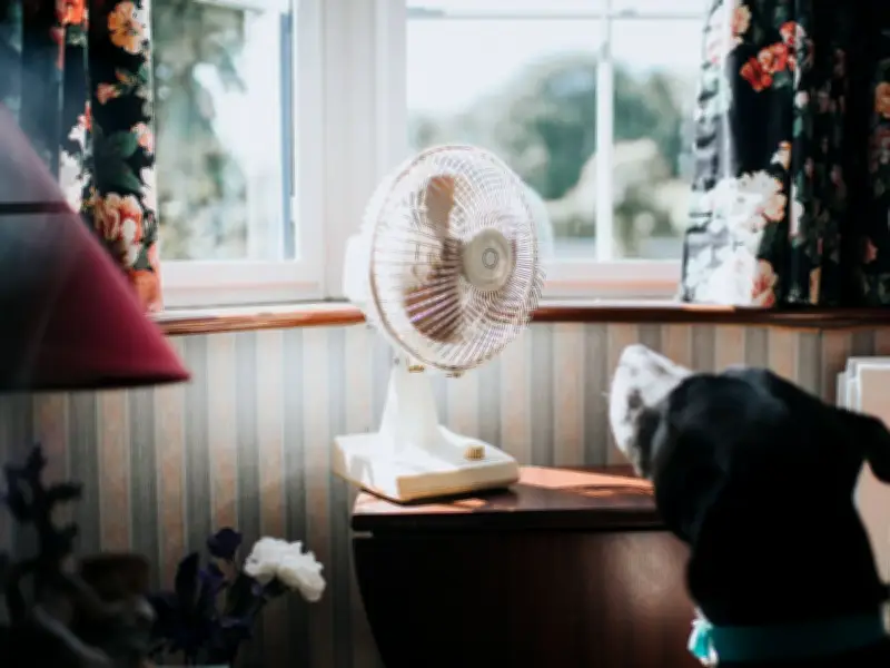 Cool Your Home Fast After UK Heatwave Using 'Flushing' Method