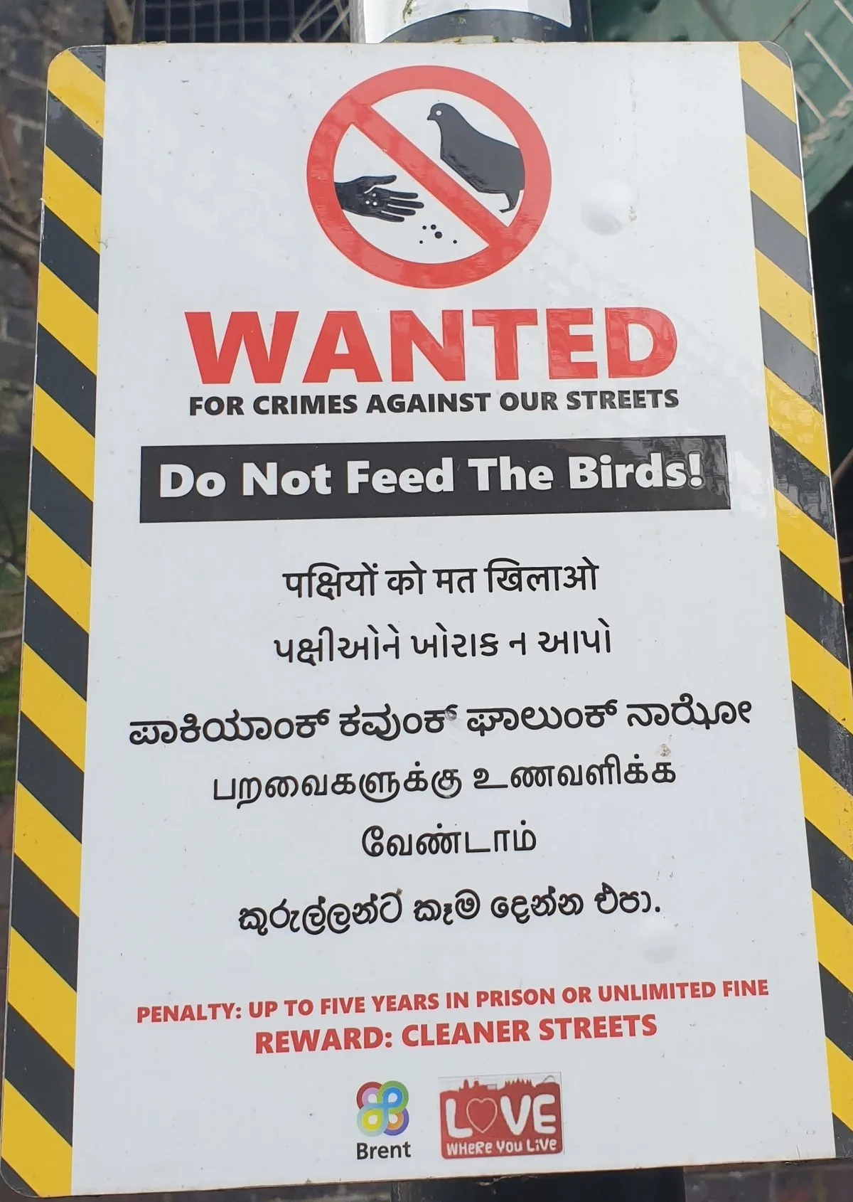 Council Apologises for Illegal Bird Feeding Threat Signs