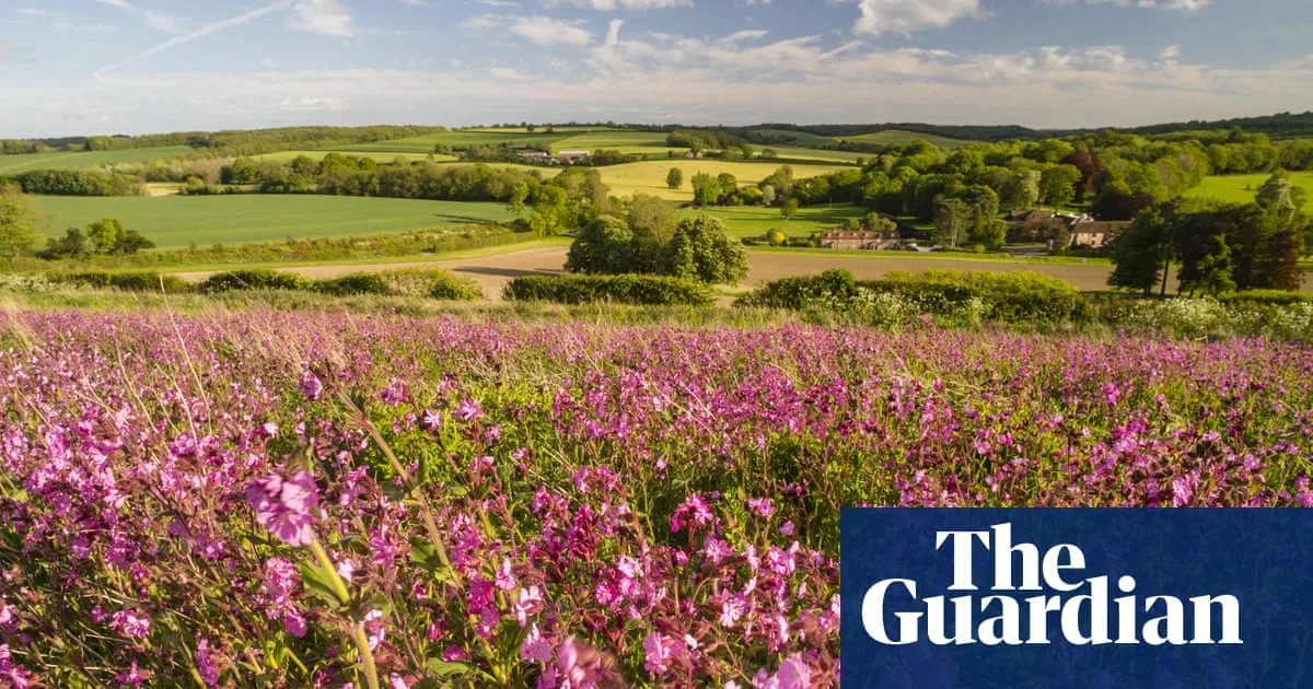 Country Diary: May 1906 Wild Plants Overflow With Health