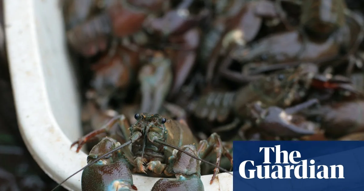 Crayfish Proposal to Deter Swimmers at Hampstead Ponds