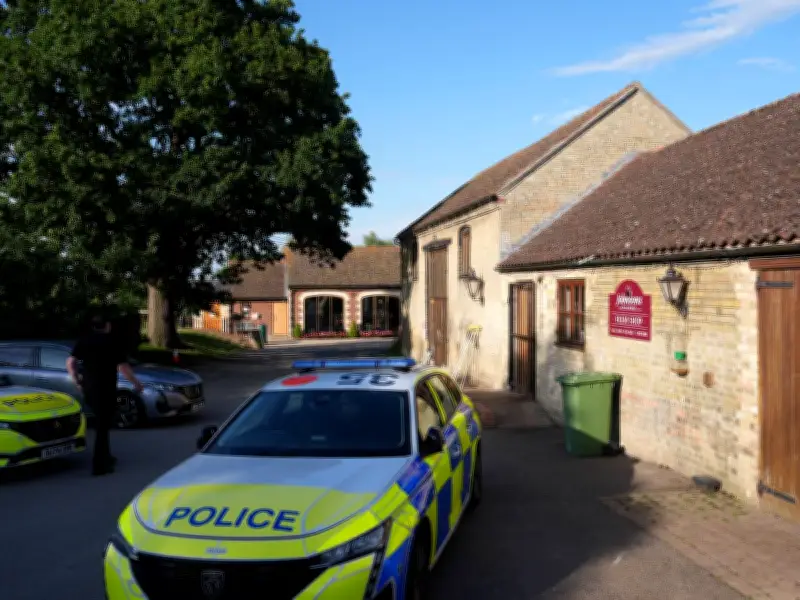 Crocodile Enclosure Reopens After Boy, 3, Allegedly Thrown In