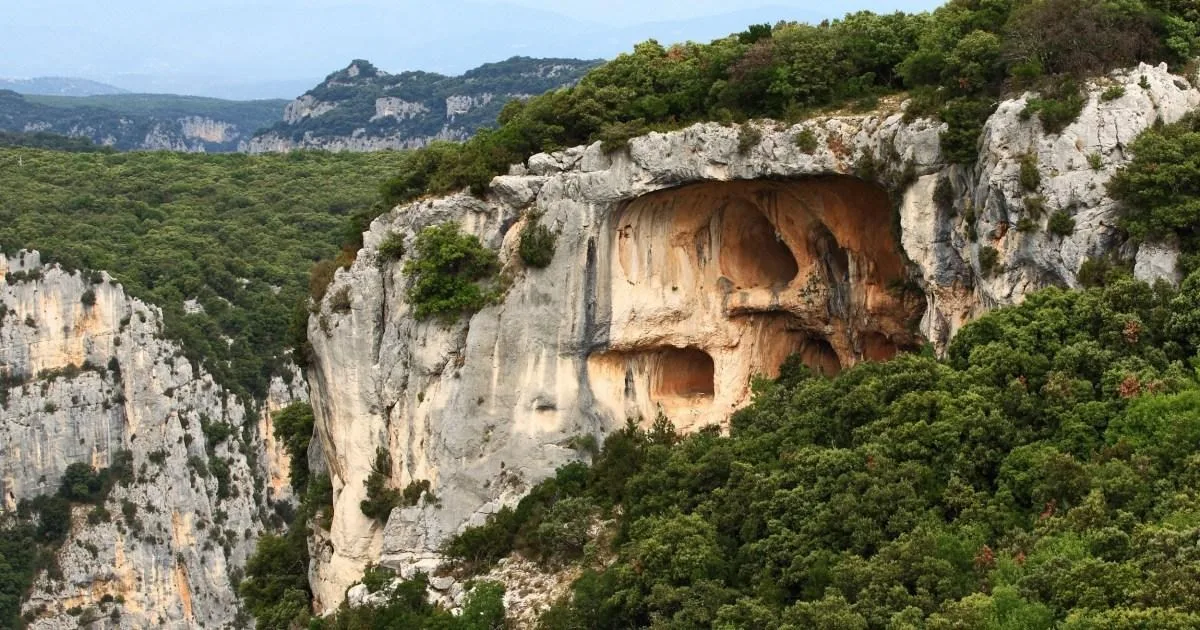 French Cyclist Survives Three Days in Ravine on Red Wine