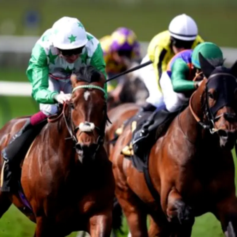 Daily Star Racing Pullouts & Offers Every Day of Royal Ascot 2026