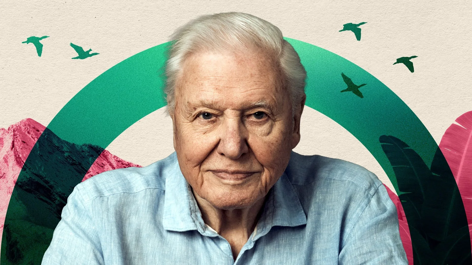 Attenborough: The Risk-Taker Who Changed How We See Earth