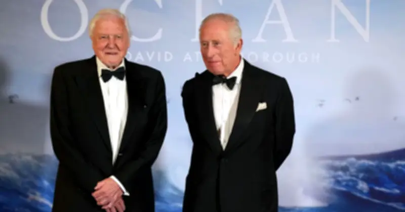 David Attenborough Urges Gardeners to Stop Mowing Lawns for Wildlife