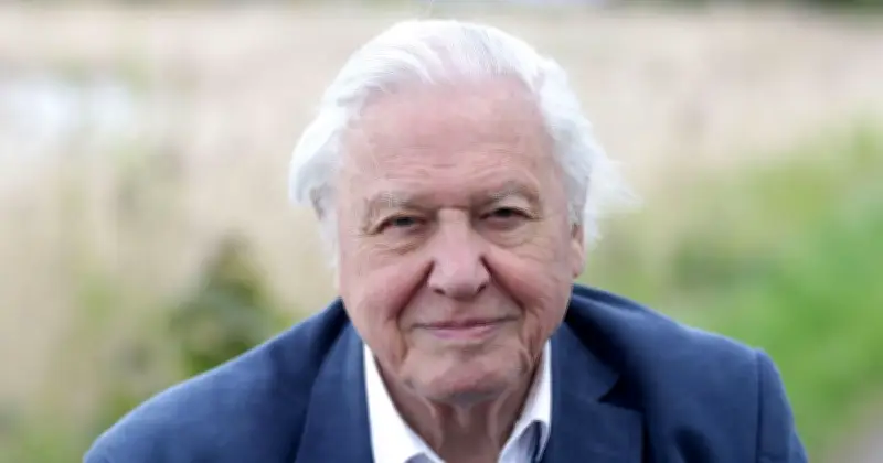 David Attenborough's Brain-Healthy Breakfast: Spinach and Onion Omelette