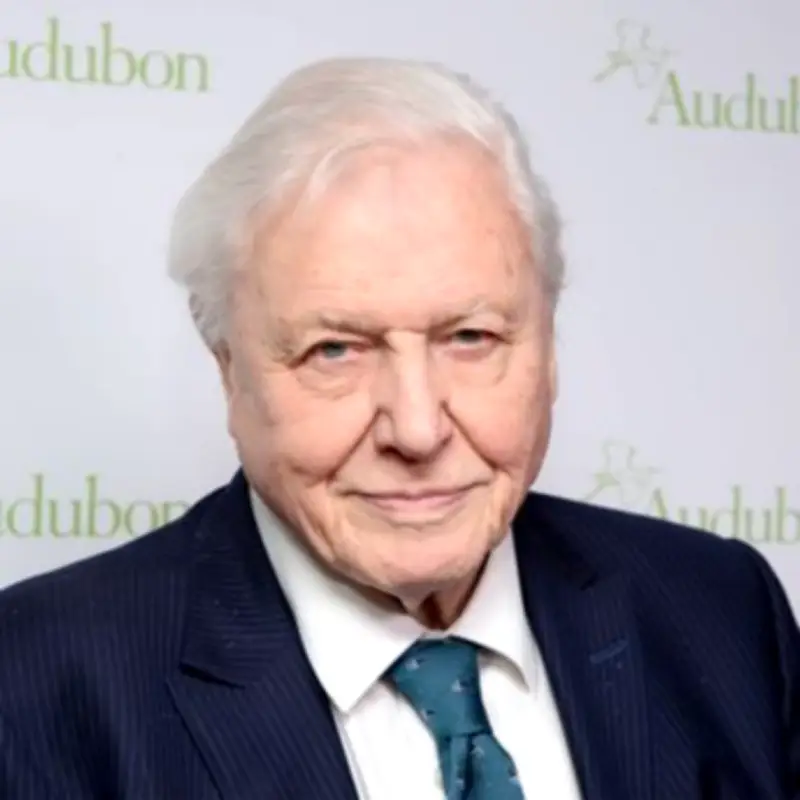 David Attenborough's Breakfast Linked to Anti-Ageing and Brain Health at 100