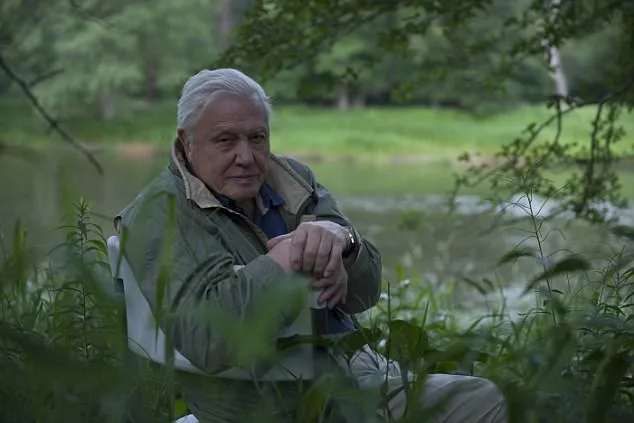 Sir David Attenborough fears being a burden on his children
