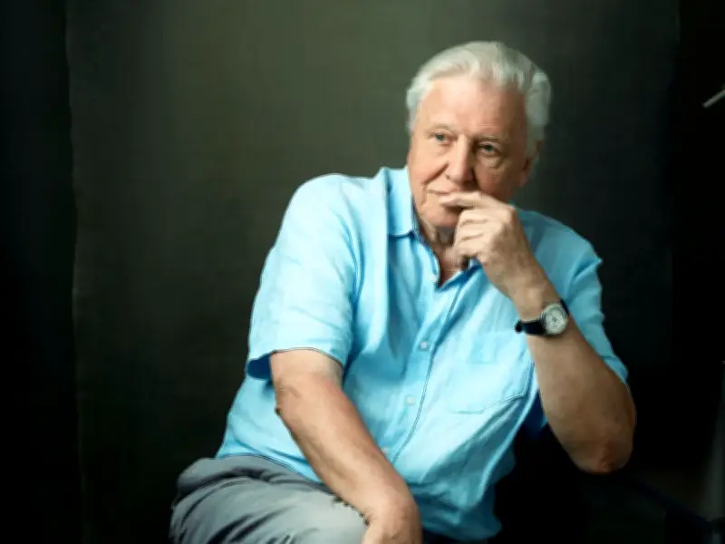 David Attenborough's Urgent Gardening Task to Attract Wildlife This Summer