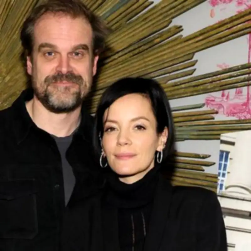 David Harbour Calls Lily Allen's Breakup Album 'Weird' in First Comments