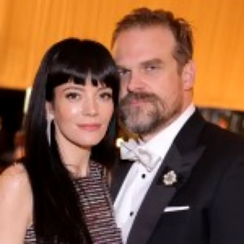 David Harbour: Lily Allen's divorce album 'wasn't my experience'