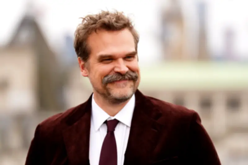 David Harbour Respects Lily Allen's Album, But Says It Wasn't His Experience