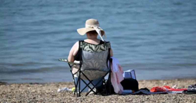 Daylight Exposure Could Cut Dementia Risk by Up to 40%, Study Finds