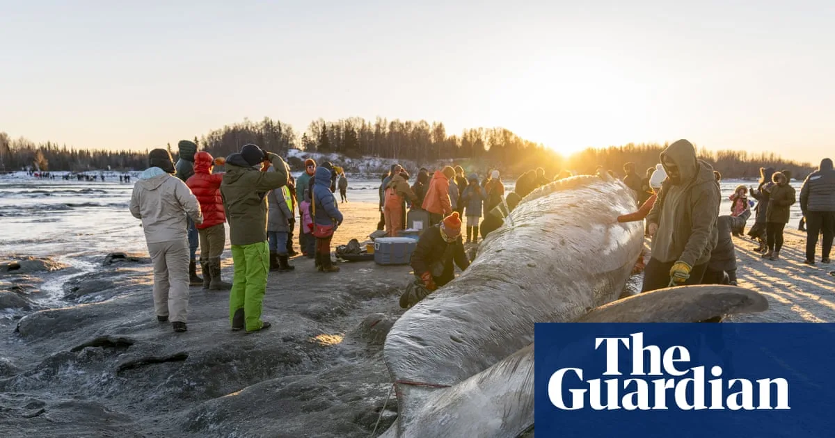 Dead Whale Sparks Explosion Fears At New York Beach