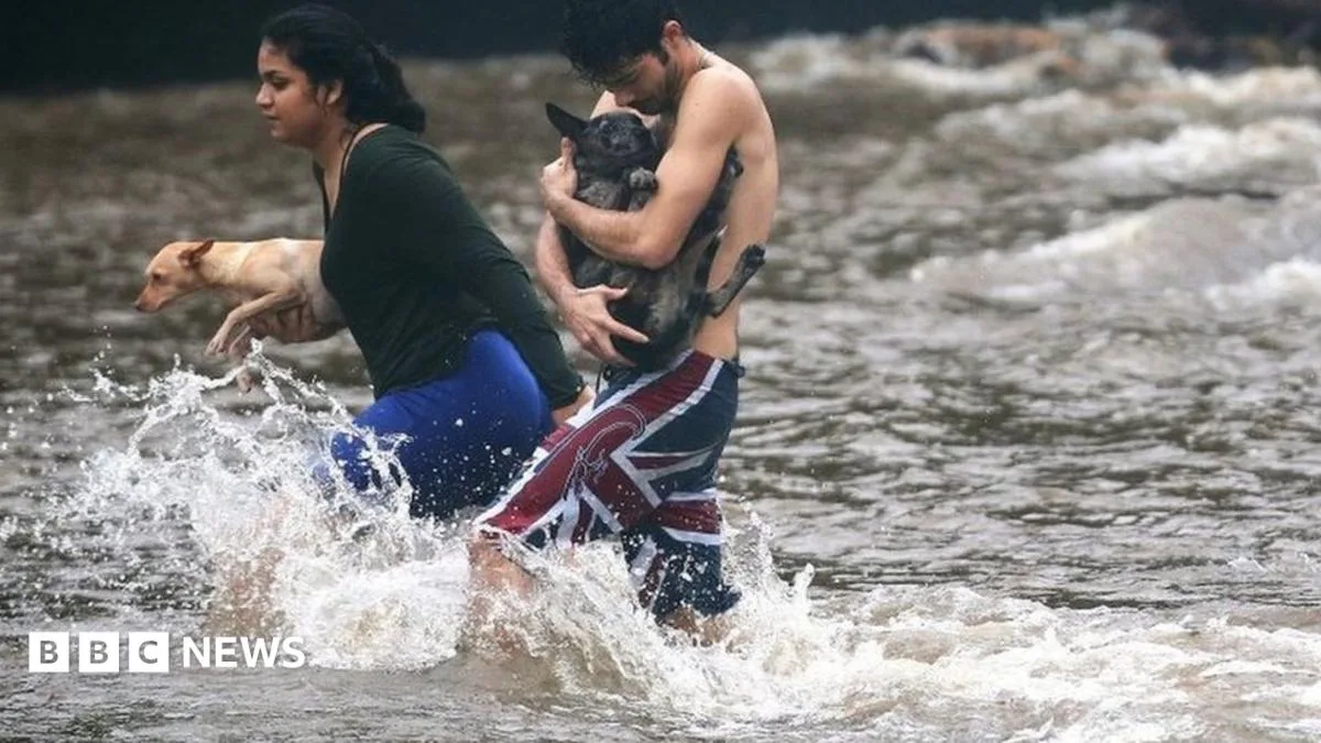 Deadly Bacteria in Hawaii Flood Waters Sparks Health Alert