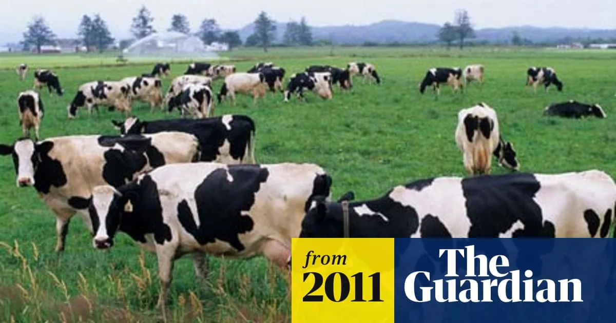 Deadly Cattle Superbug Jumps to Humans in UK