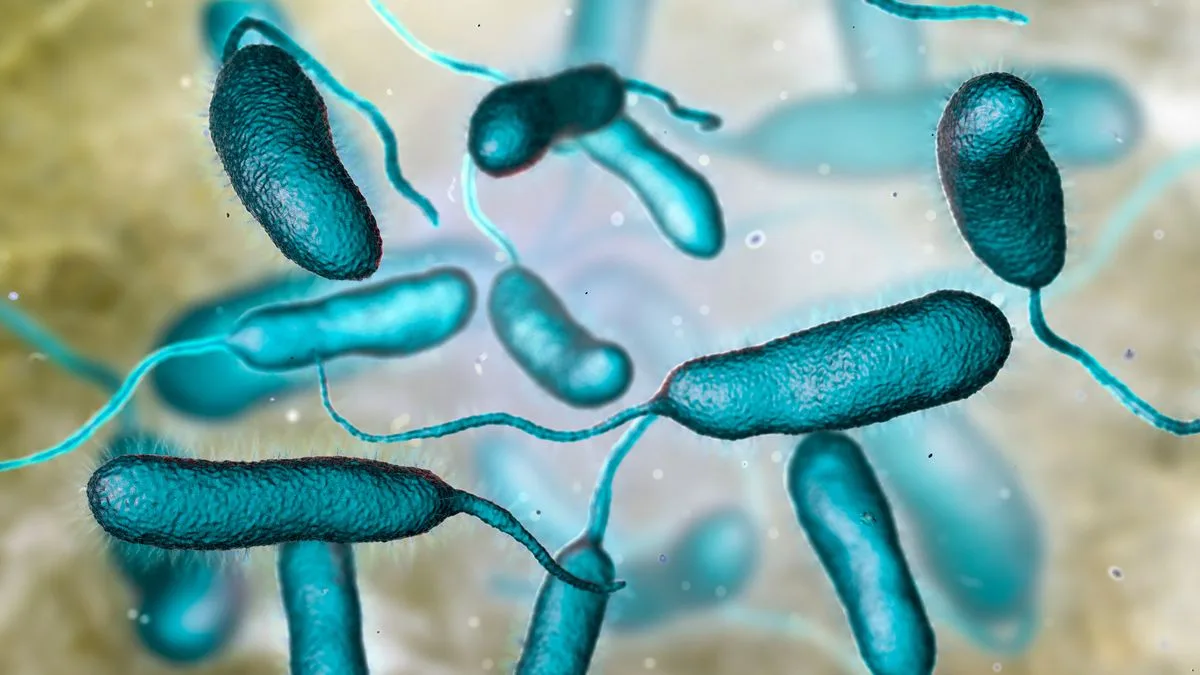 Flesh-Eating Bacteria Outbreak in Florida Kills Five, US Death Toll Reaches Eight