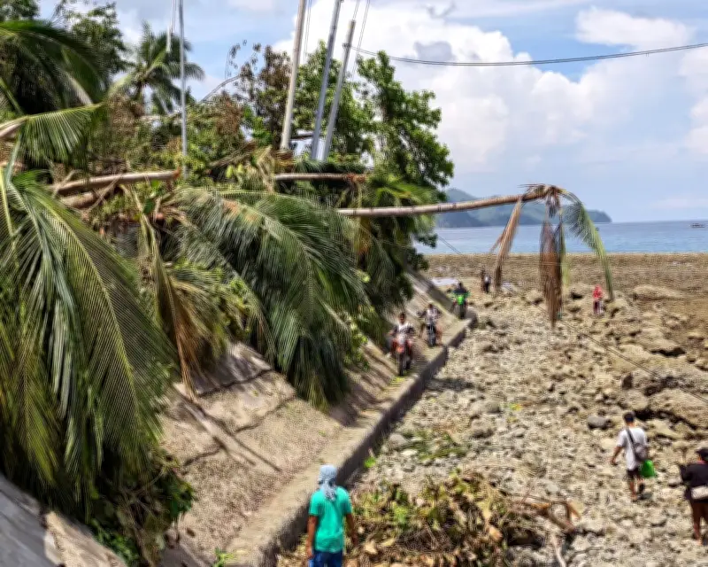 Deadly Philippines Earthquake Raised Seabed by 2 Metres, Killing Marine Life
