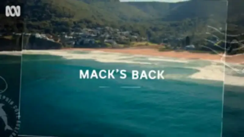 Death In Paradise Spin-Off Return to Paradise Wraps Filming on Season 3