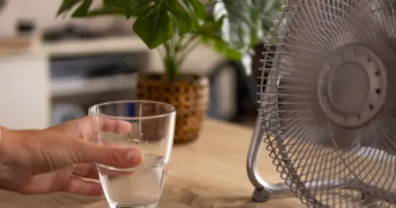 Dehydration vs Thirst: Expert Tips for UK Heatwave Hydration