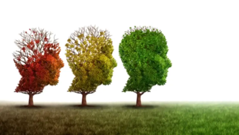 Dementia Patients Overlooked: Letters on Fighting Stereotypes