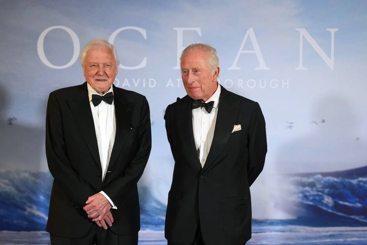 DiCaprio and Beckham Lead Attenborough 100th Birthday Tributes