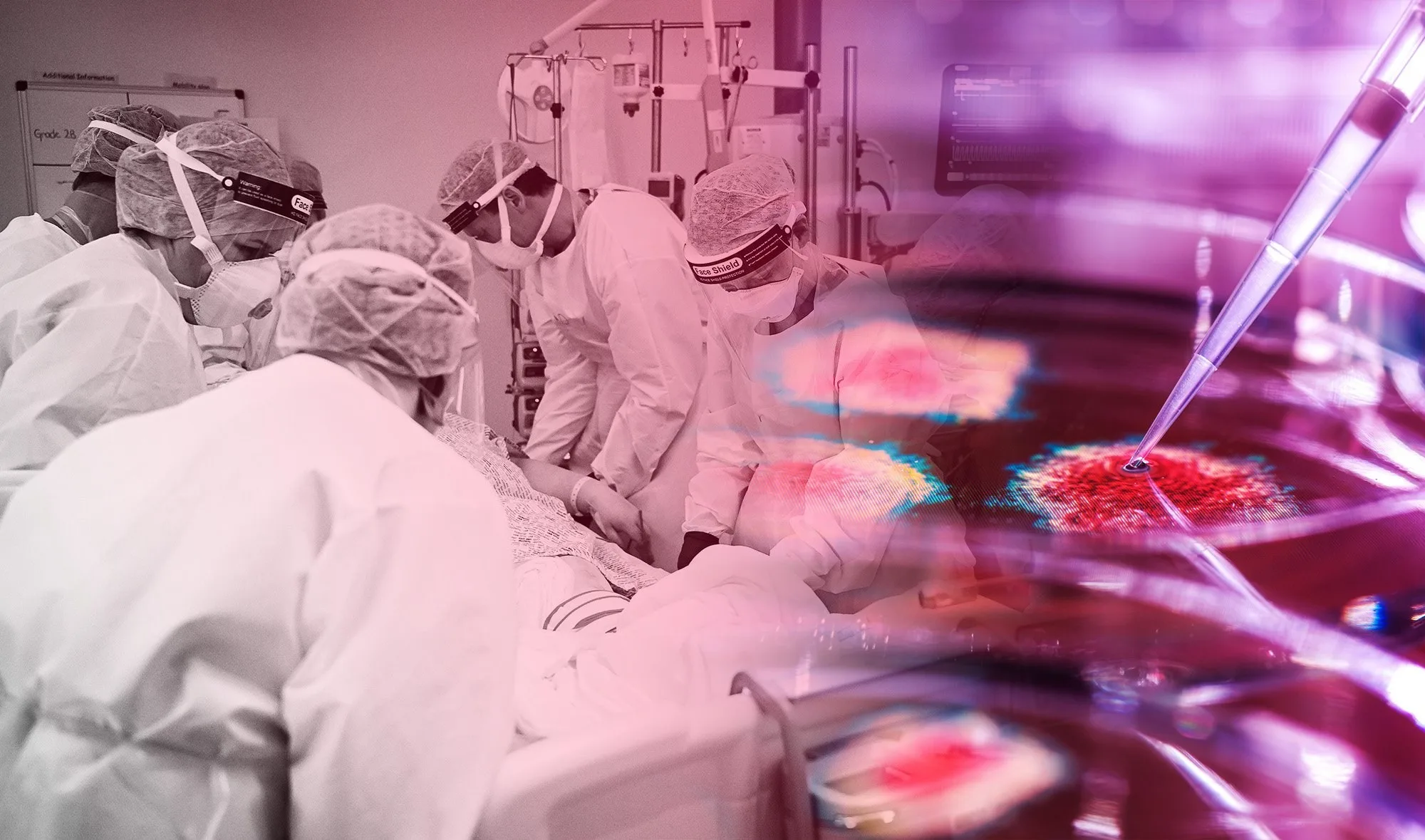 WHO warns world unprepared for 'Disease X' which could be deadlier than Covid