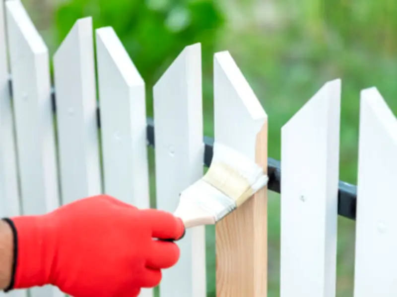 DIY Hack: Paint Fences in Minutes with a 46p Sponge, No Brushes Needed