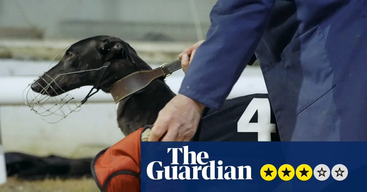 Documentary Exposes Dark Truth of UK Greyhound Racing