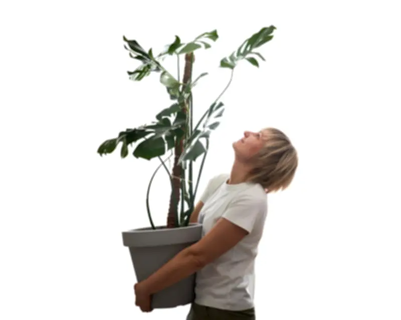 Does Talking to Plants Help Them Grow? Houseplant Hacks Explored